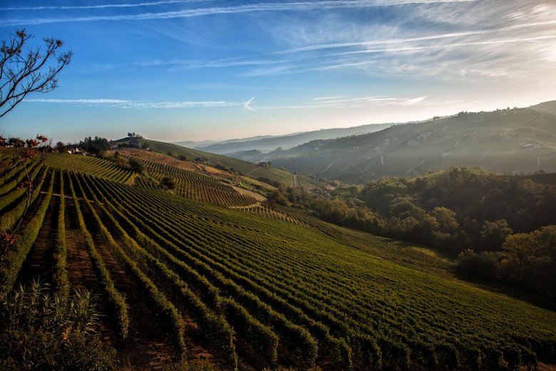 Apartamento Il Vecchio Cortile Barbaresco