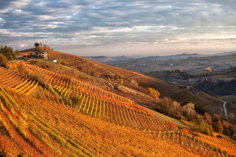 Apartamento Il Vecchio Cortile Barbaresco
