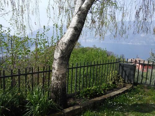 Apartamento Il Pozzo