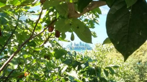 Apartamento Il Pozzo
