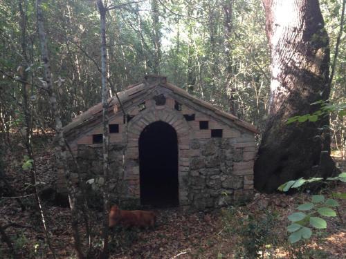 Apartamento La Locaia