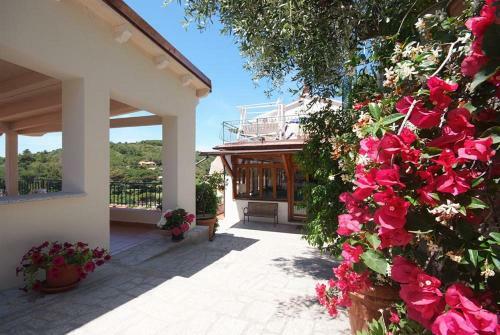 Hotel Alma