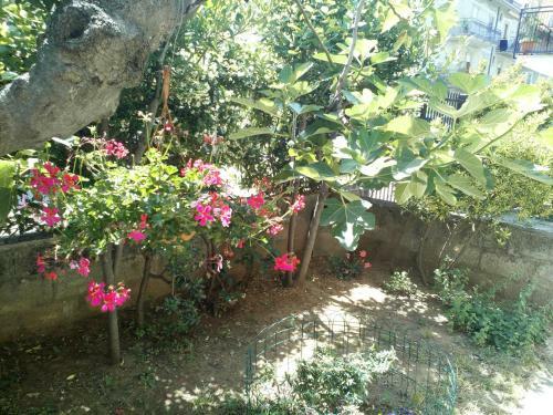Apartamento B&B A Casa Di Nonna