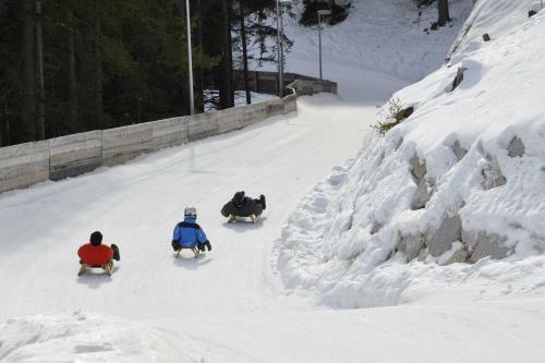 Alpine Hotel Gran Foda'