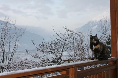 Apartamento Appartement Tschivon