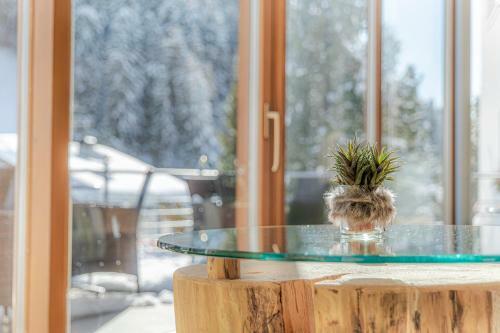 Hotel Chalet Dlaces