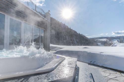 Hotel Chalet Dlaces