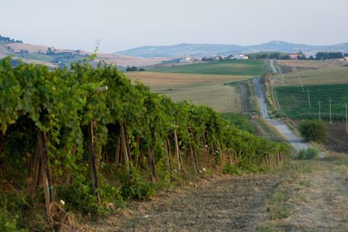 Agroturismo Fattoria Di Vaira
