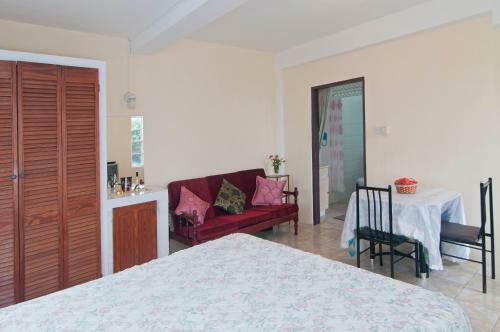 Apartamentos The Garden Studio