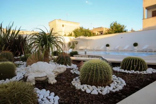 B&B Baiocco