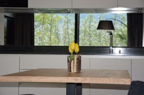 Premium Apartments Faselehof