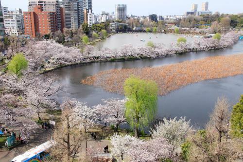 Centurion Ladies Hostel Ueno Park (female Only)