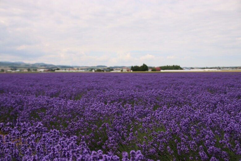 Furano Shiyuirin