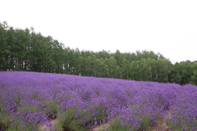 Furano Shiyuirin
