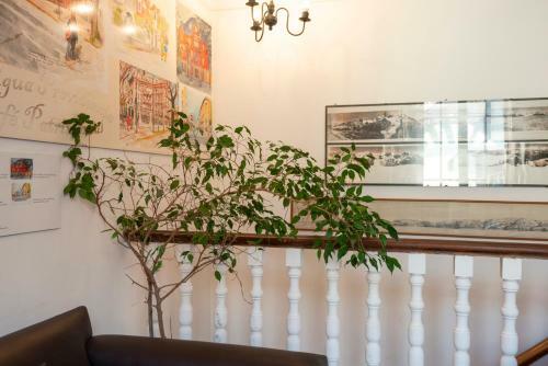 Providencia Bed & Breakfast