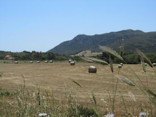 Agroturismo Agriturismo Sa Tiria
