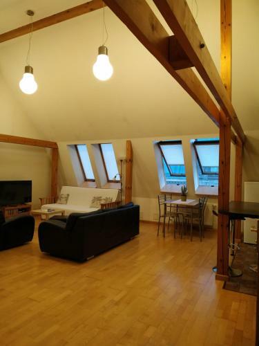 Sunlit Loft Apartment Riga