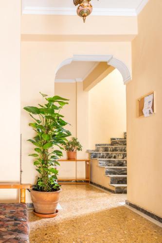 Apartamento Plato?s Academy Studios