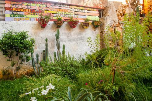 Bed & Breakfast Poco Loco Hotel
