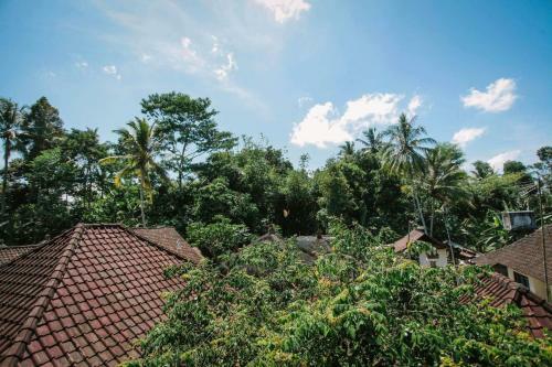 Koko Guesthouse And Homestay