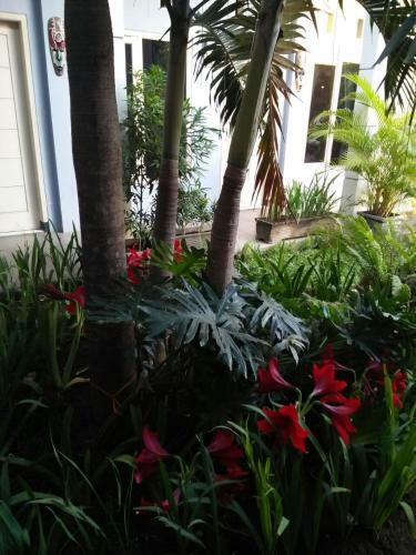 Clover Homestay