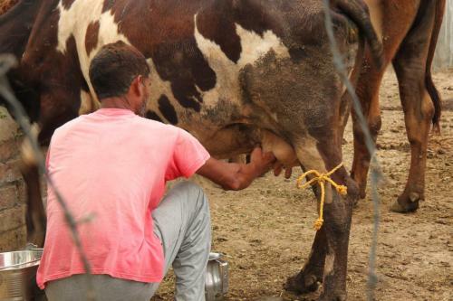 Agroturismo Farmers Villa