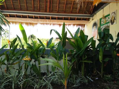 Hostal Belong Bunter Guest House Two