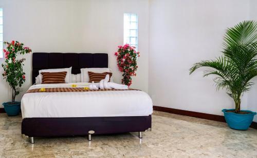 Hotel Villa Collard