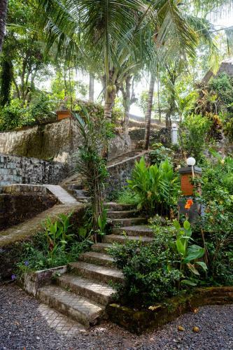 Hostal Lotus Guesthouse