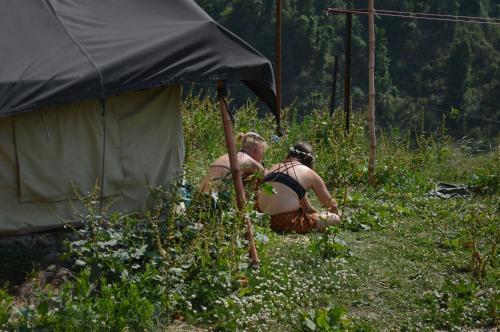 Dhanaulti Camp Homes And Retreat