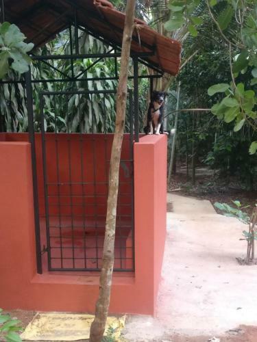 Agroturismo Cordel Farms Mangalore