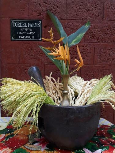 Agroturismo Cordel Farms Mangalore