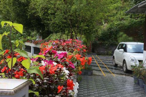 Sceva's Garden Home