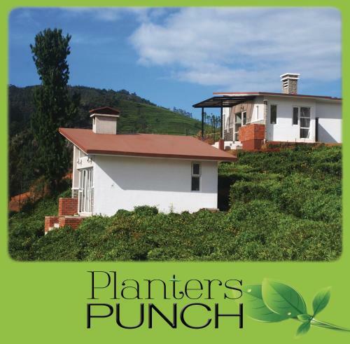 Villa Planters Punch