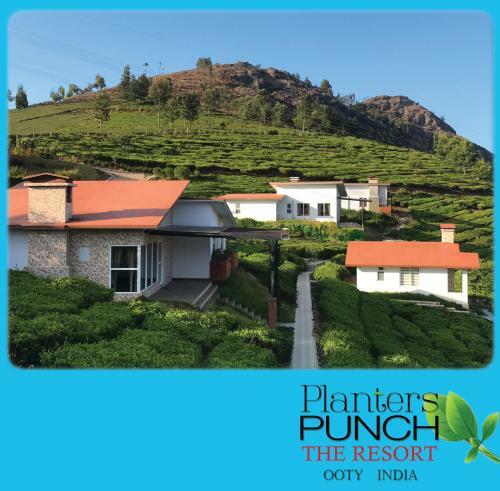 Villa Planters Punch