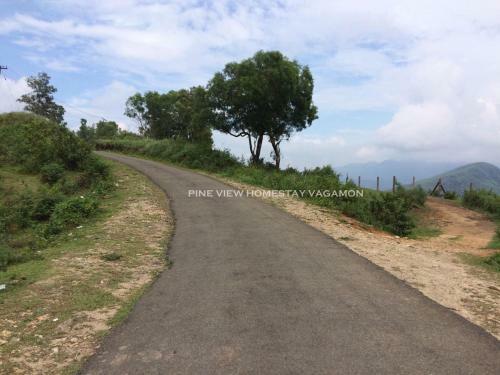 Pine View Homestay