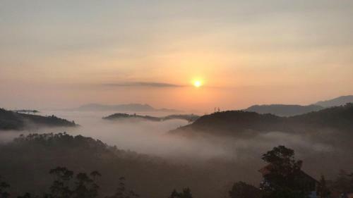 Pine View Homestay