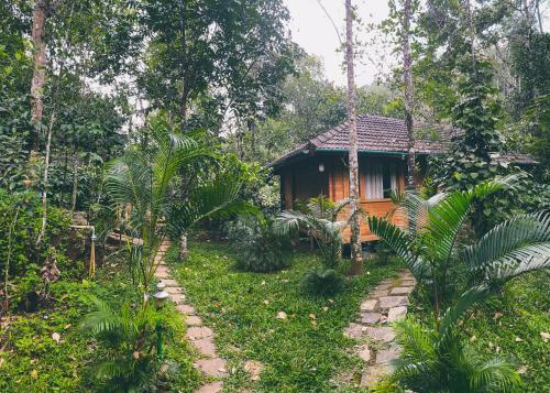 Hotel Bamboo Creek Resort
