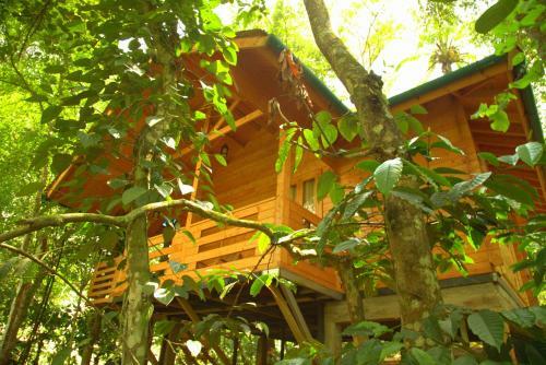 Hotel Bamboo Creek Resort