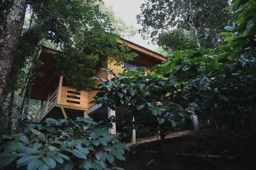 Hotel Bamboo Creek Resort