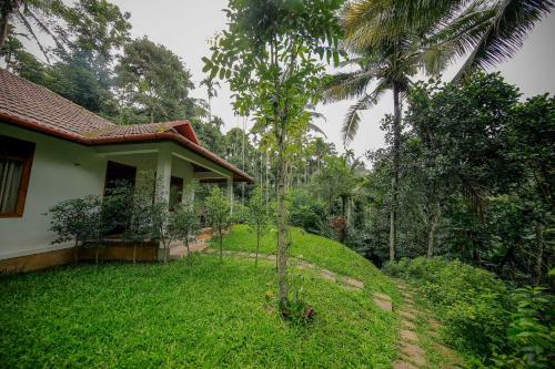 Hotel Bamboo Creek Resort