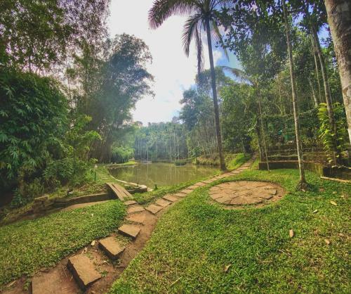 Hotel Bamboo Creek Resort