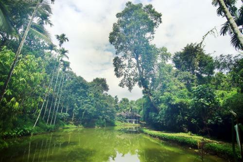 Hotel Bamboo Creek Resort