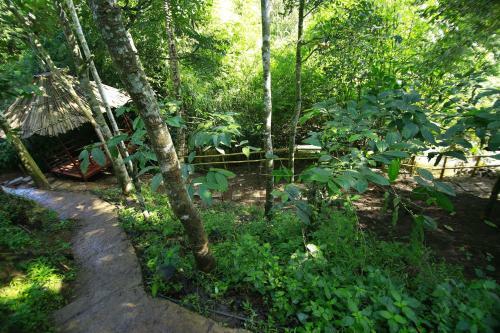 Hotel Bamboo Creek Resort