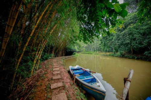 Hotel Bamboo Creek Resort