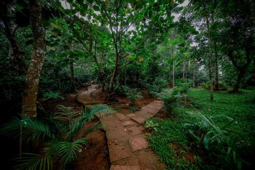 Hotel Bamboo Creek Resort