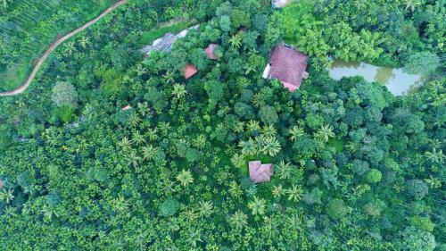 Hotel Bamboo Creek Resort