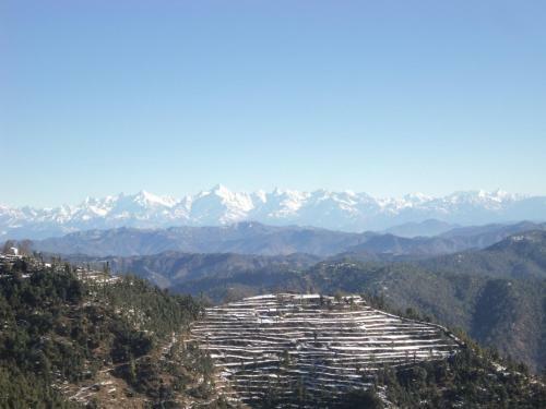 Panchachuli House