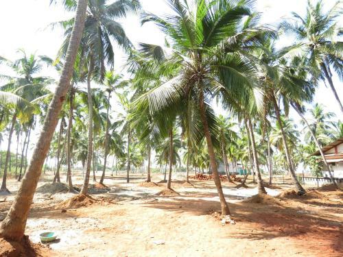 Candolim Song