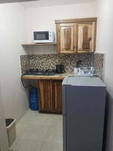 Wizzy Apartment